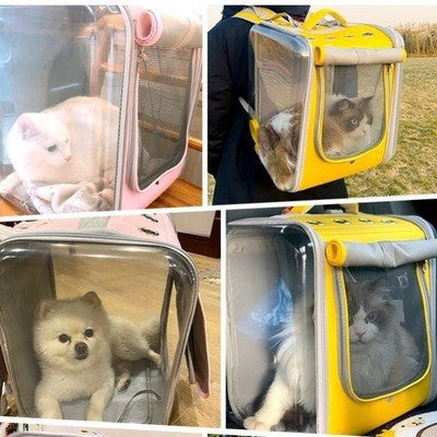 Small Pet Carryon Backpack For Travel
