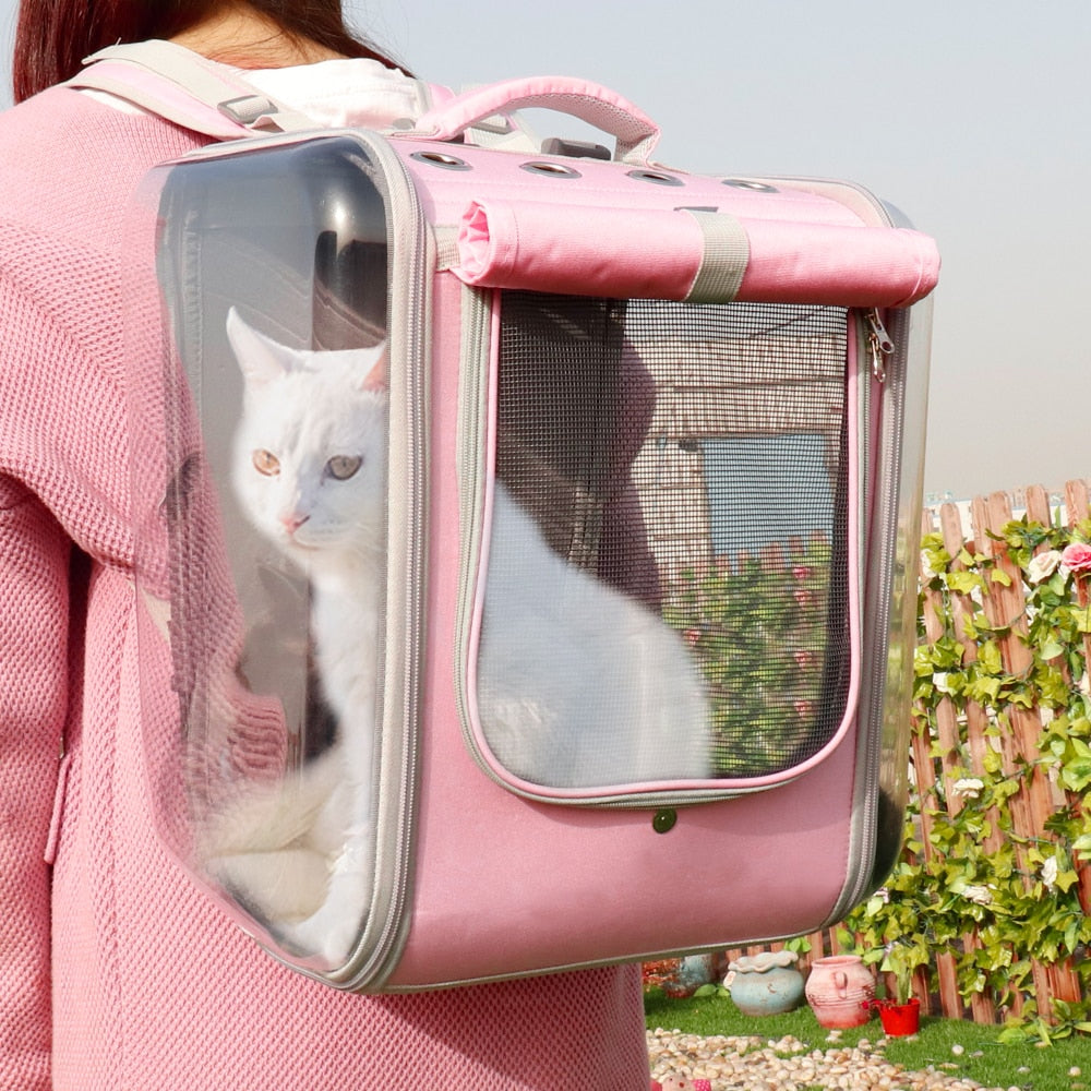 Small Pet Carryon Backpack For Travel